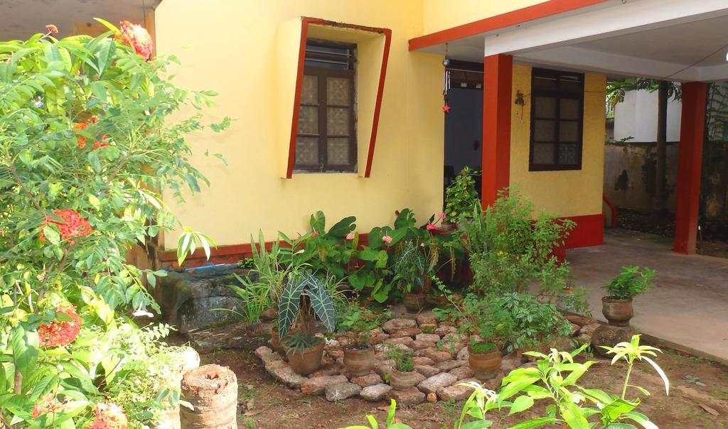 Homestay David Homes *